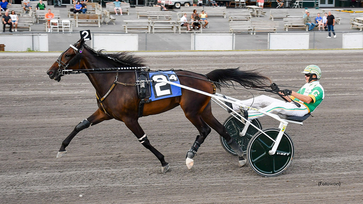 Sharp Seven looks hard to beat in NYSS 1