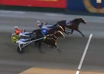 Fast winners by Warrawee Needy