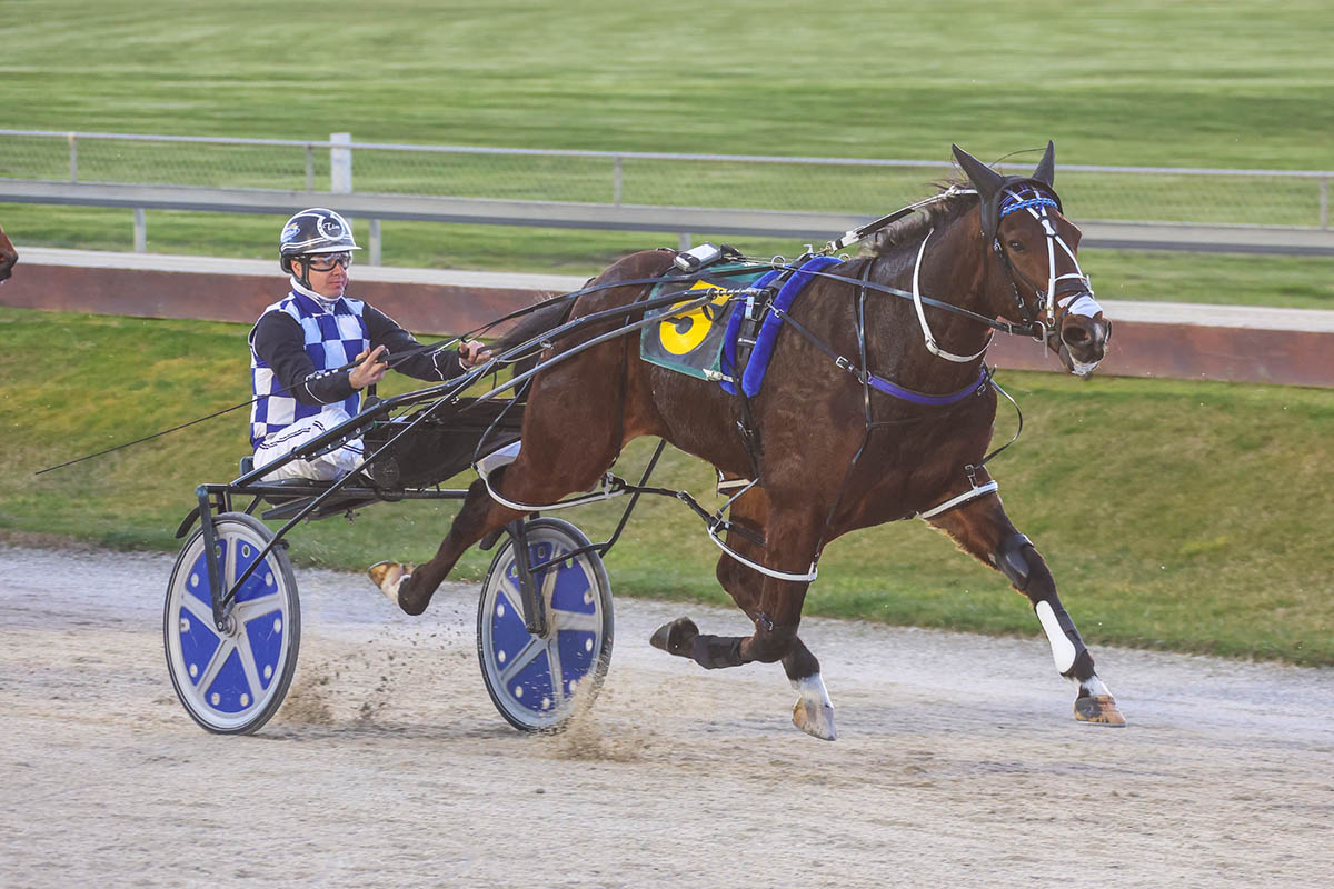 SBSR double at Addington 2