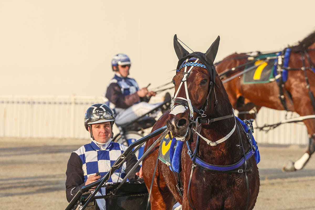 SBSR double at Addington 4