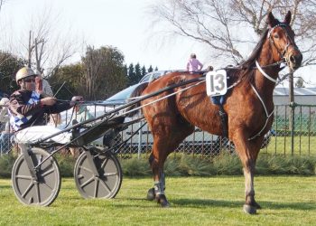 Float breakdown doesn’t stop Oamaru trainer