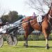 Float breakdown doesn’t stop Oamaru trainer
