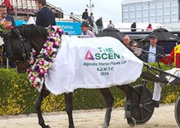 Addington seeks slot holders for Show Day