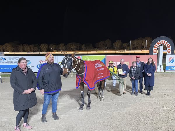 Two year old trotters show their style at Bendigo 2