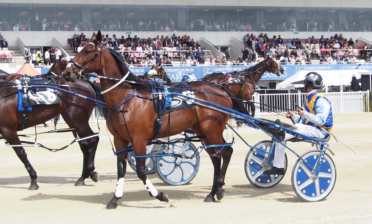 Lakelsa heads Todd’s weekend chances 2