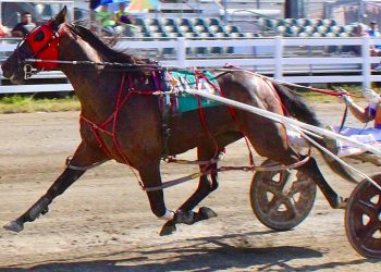 Switzer scores seven, Two Fold Cold wins Hight Invitational