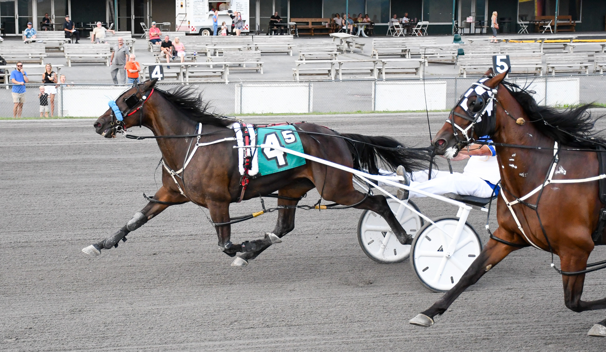 Betterthancheddar mare goes on by rivals 1