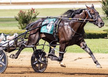 Ubrute hands Brandon Blvd first loss