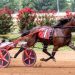 Unreasonable makes it four in a row with $80,000 win