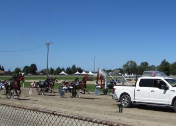 OHHA to Live Stream from Washington and Van Wert Fairs