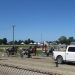 OHHA to Live Stream from Washington and Van Wert Fairs 1 OHHA to Live Stream from Washington and Van Wert Fairs