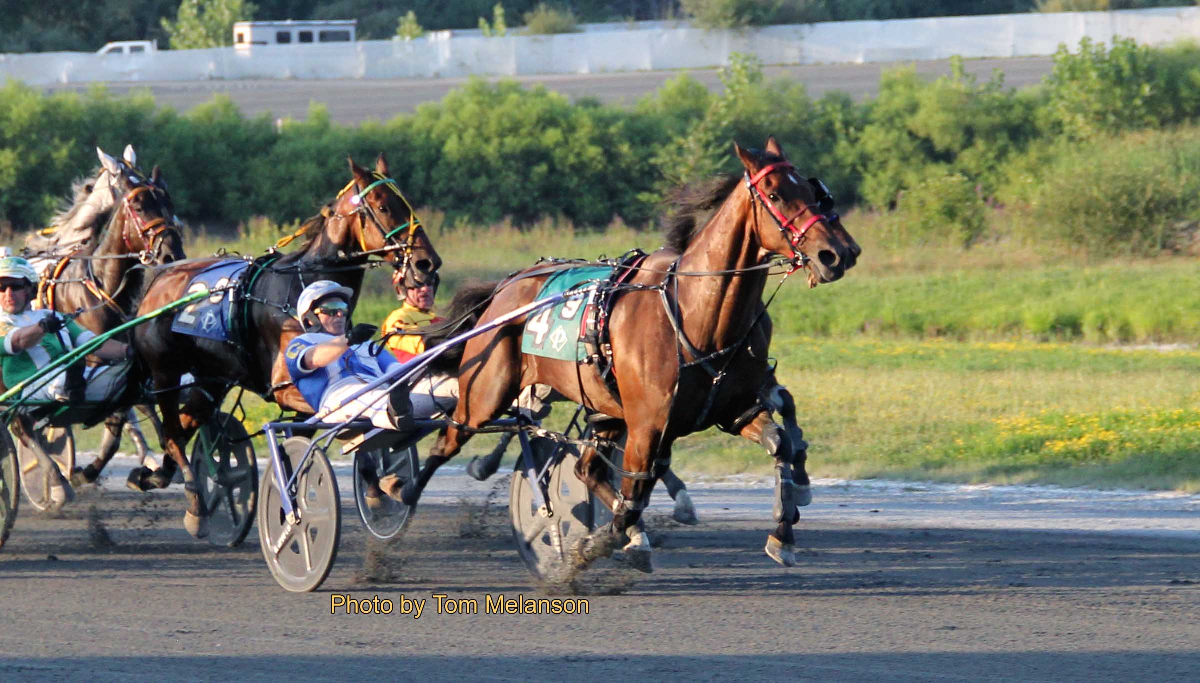 Vintage Cheddar N posts another sub-1:50 victory 1