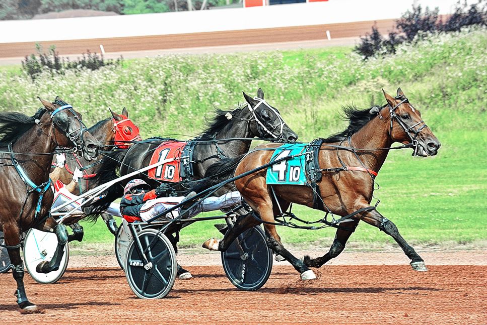 Always A Virgin mare continues building impressive career 1