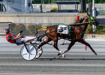 Wehadababyetzaboy gets 7th win of the year