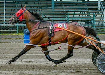Western Stepp wins for the 63rd time