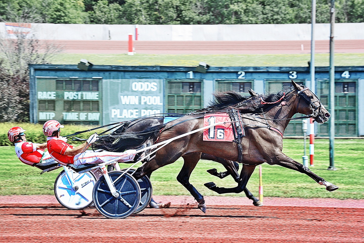 Whiskey Lou takes biggest purse on offer 1