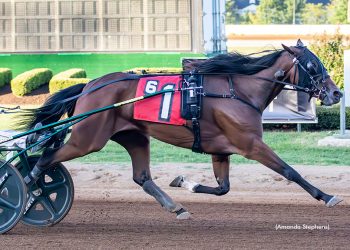 Gingras and Burke take major slice of KYSS