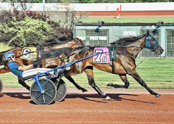 Yo Tillie survives tough trip in $250,000 Delmonica Hanover
