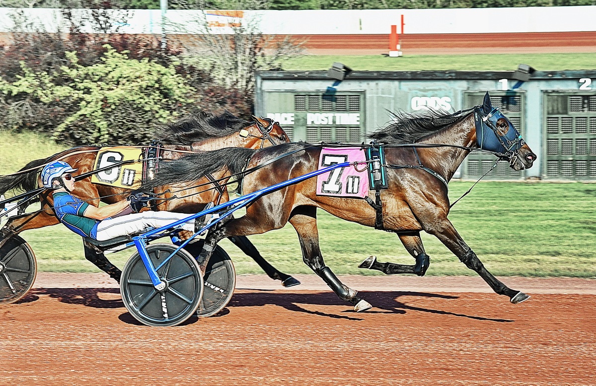 Yo Tillie takes over top spot in Hambletonian Society/Breeders Crown poll 1