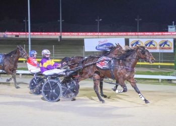 Zoe Ella delivers for longtime breeders