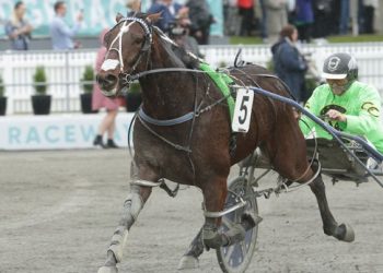 A perfect kick off point for Akuta