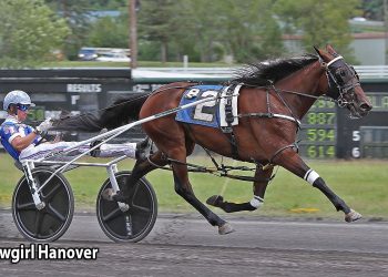 Sophomore pacing fillies set for NYSS sixth leg