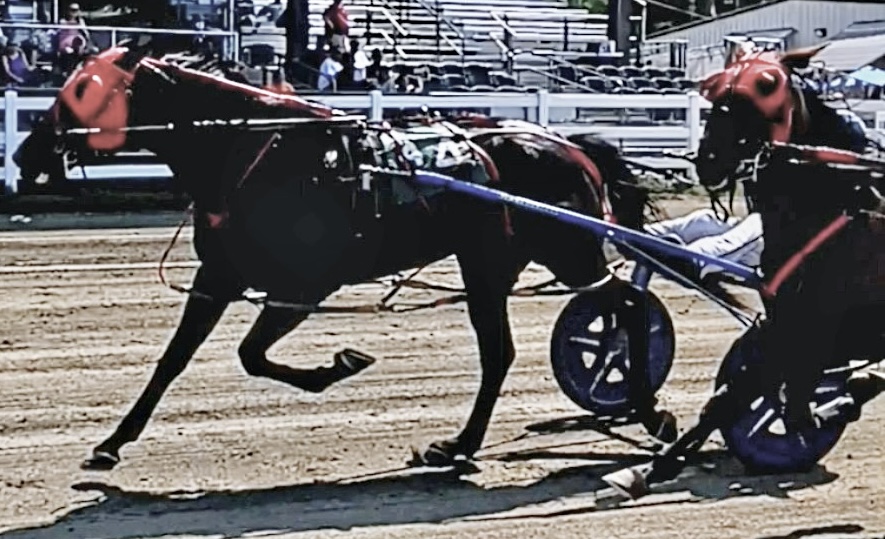 Switzer, Jr remains hot, June Parker keeps winning 1