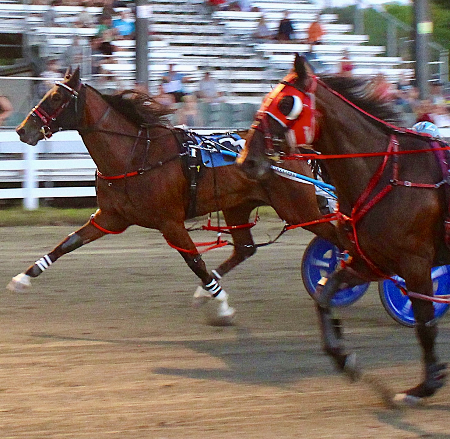 25th career win for Ex-Kiwi pacer 1