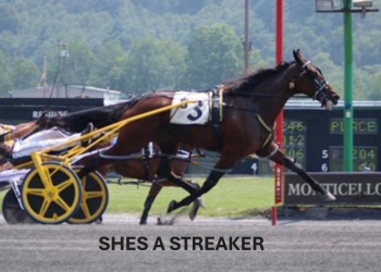 Shes A Streaker streaks to new track record