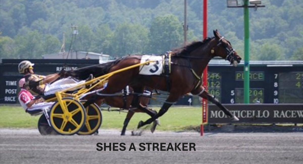 Shes A Streaker streaks to new track record 1