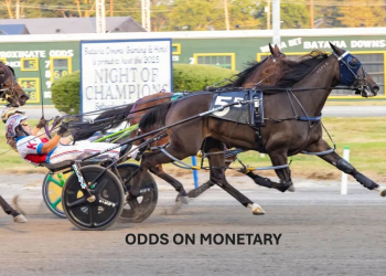 Swan Song for the 2025 NYSS at Monticello