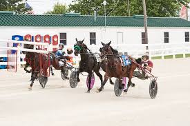 OHHA to live stream from Mercer and Muskingum County Fairs