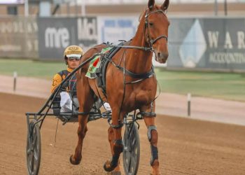 Callaghan’s American adventure gathers pace