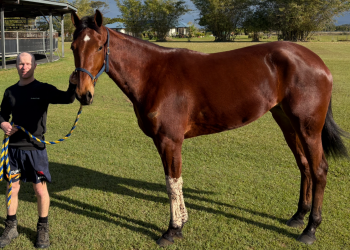 Team Pitt ‘riding the highs’ toward G1 dream