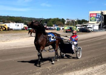 Several records broken at Somerset County Fairgrounds