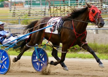 Juneparker streaks to victory