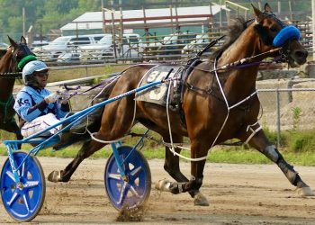 Another hat trick for Switzer, Jr