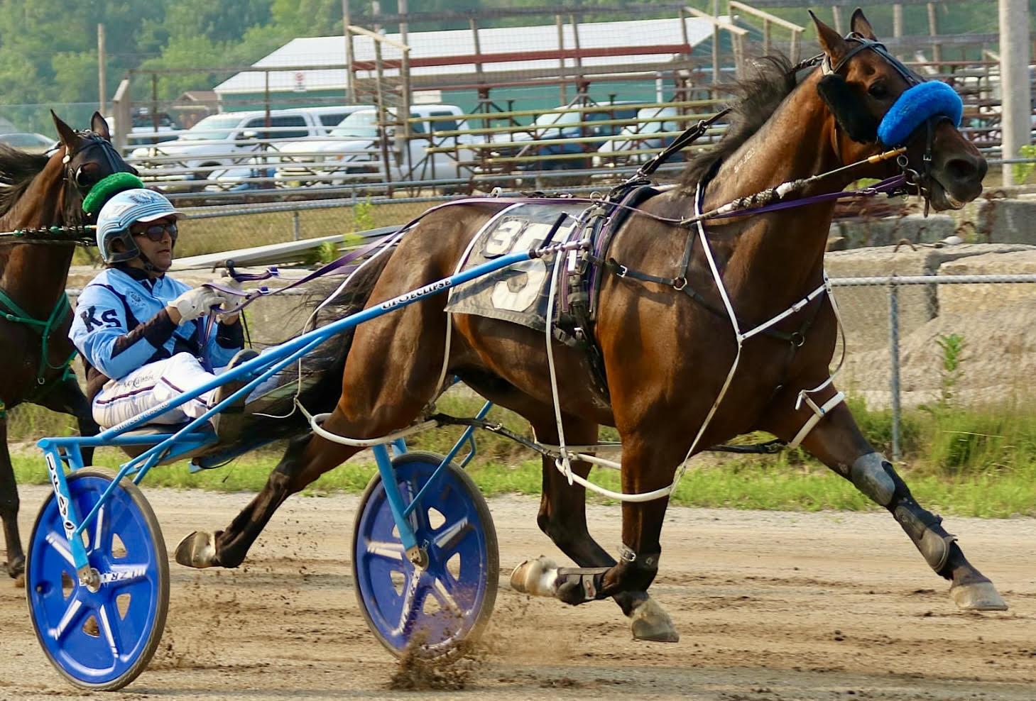 Another hat trick for Switzer, Jr 1