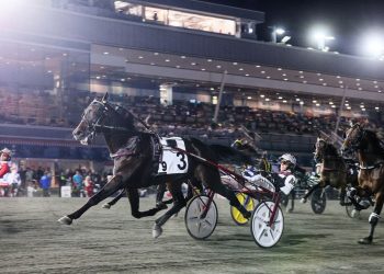 Mohawk set for Grand Circuit Season