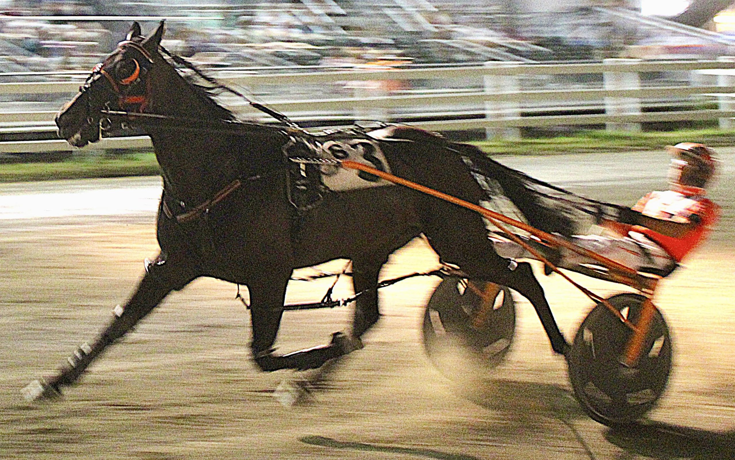 IB Notorious generates evenings fastest mile at Skowhegan 1