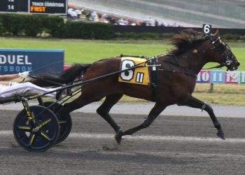 Periculum dominates $300,000 John Cashman Memorial