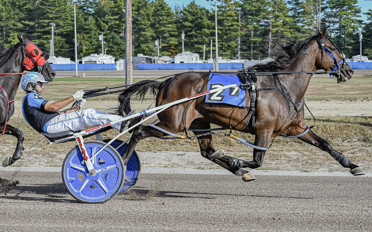 Three wins for Harrington at Cumberland opener 1