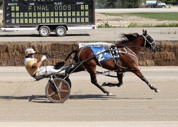 Northville Press release Tues 9/16/25