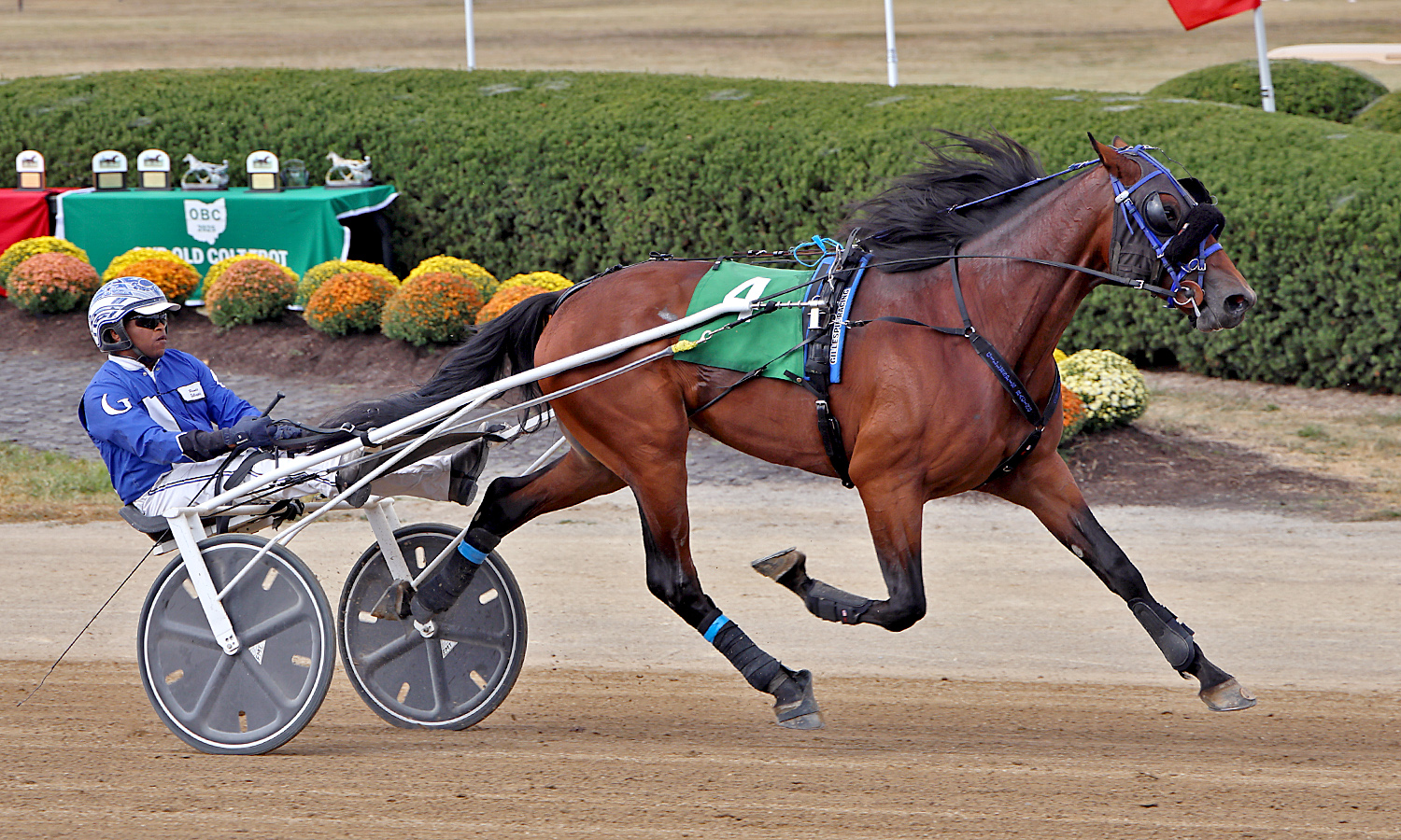 Triple Crown hopes ride on Scarlet Championships finals 1