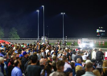 Watch the Milton Stakes card from Woodbine Mohawk Park