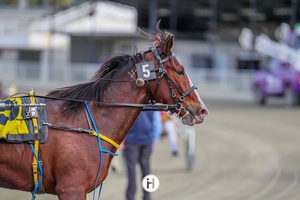 Sweet Vivienne goes to another level 1