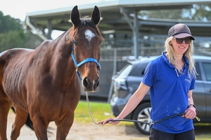 Fighter Command poised for emotional Eureka tilt