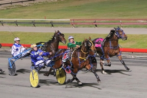 Aussie pacer set to switch gaits in New Zealand