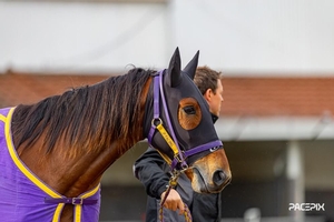 Newcomers on trial for $150,000 Slipper