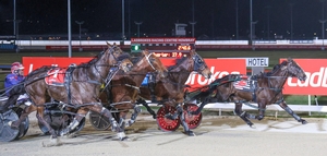 Maddis Tiger continues to grade rise 1